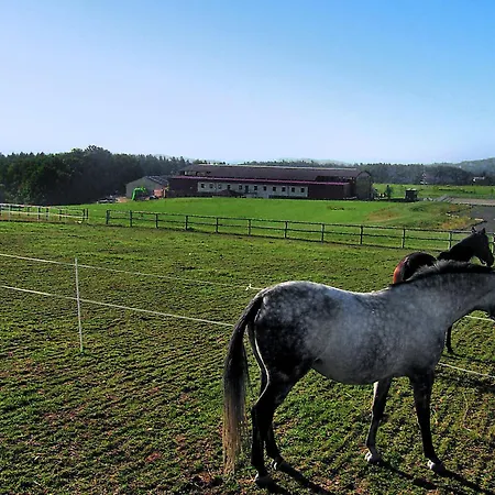 Petrikov By Interhome