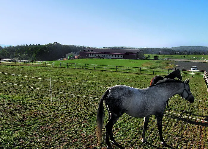 Petrikov By Interhome